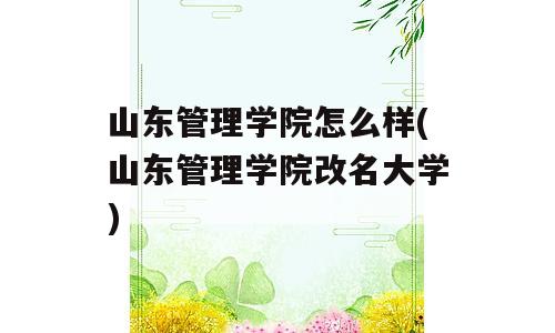 山东管理学院怎么样(山东管理学院改名大学)