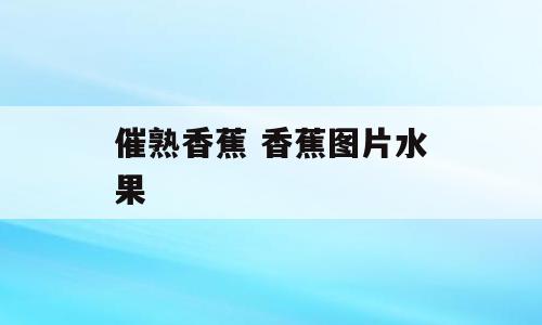 催熟香蕉 香蕉图片水果