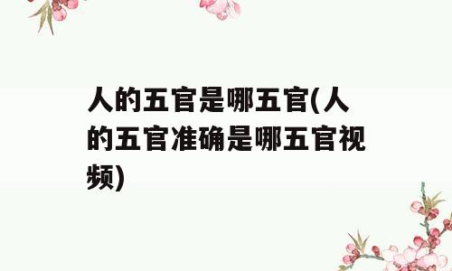 人的五官是哪五官(人的五官准确是哪五官视频)