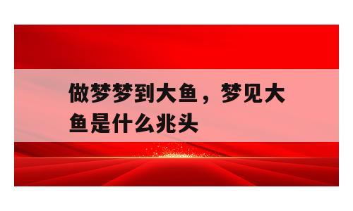 做梦梦到大鱼，梦见大鱼是什么兆头