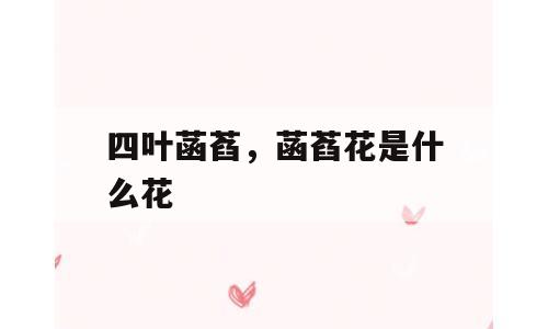 四叶菡萏，菡萏花是什么花