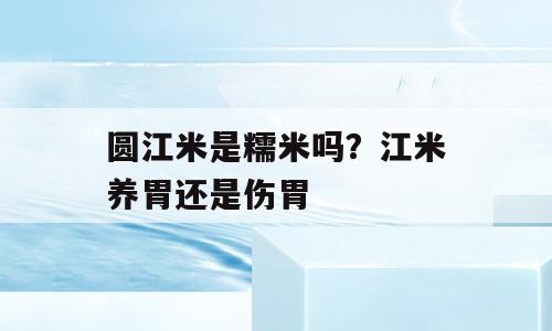 圆江米是糯米吗？江米养胃还是伤胃