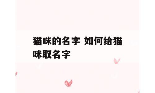猫咪的名字 如何给猫咪取名字