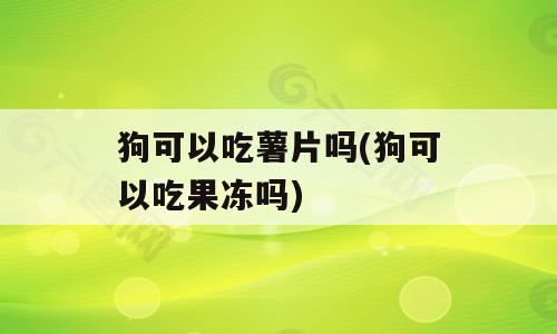 狗可以吃薯片吗(狗可以吃果冻吗)