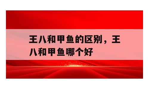 王八和甲鱼的区别，王八和甲鱼哪个好