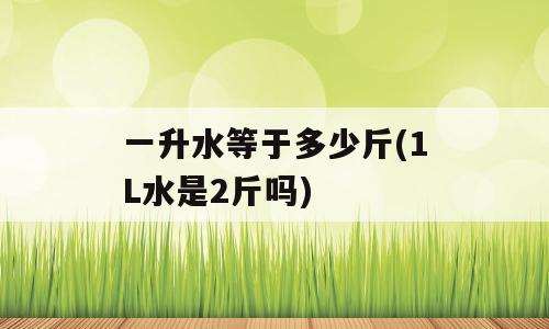 一升水等于多少斤(1L水是2斤吗)