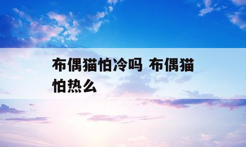 布偶猫怕冷吗 布偶猫怕热么