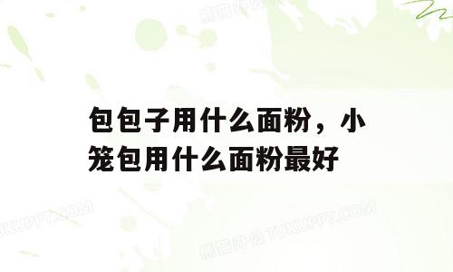 包包子用什么面粉，小笼包用什么面粉最好