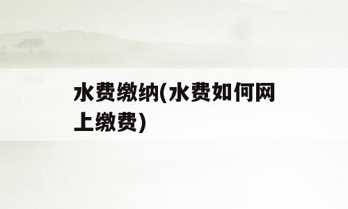 水费缴纳(水费如何网上缴费)