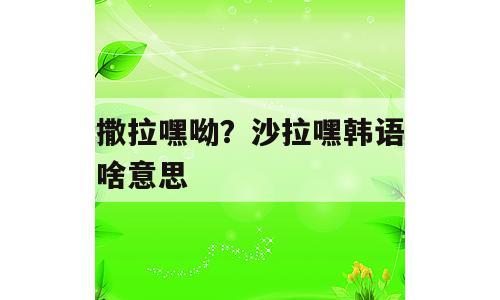 撒拉嘿呦？沙拉嘿韩语啥意思