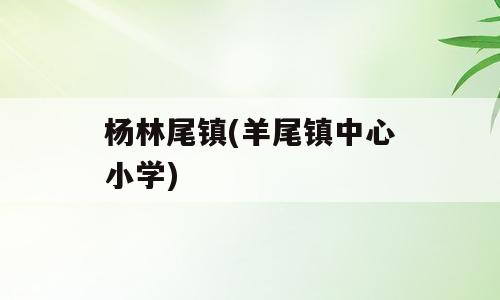 杨林尾镇(羊尾镇中心小学)
