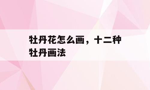 牡丹花怎么画，十二种牡丹画法