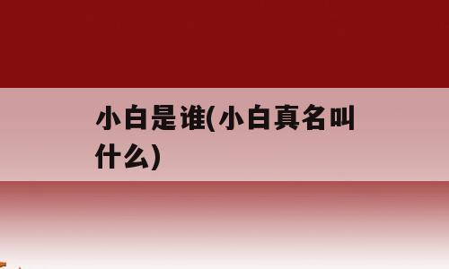 小白是谁(小白真名叫什么)