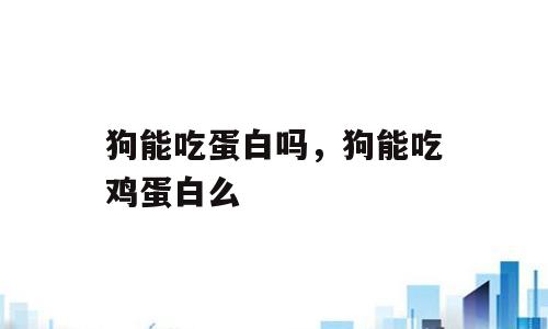狗能吃蛋白吗，狗能吃鸡蛋白么
