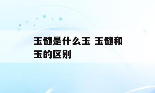 玉髓是什么玉 玉髓和玉的区别