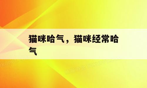 猫咪哈气，猫咪经常哈气