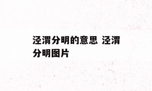 泾渭分明的意思 泾渭分明图片