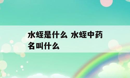 水蛭是什么 水蛭中药名叫什么