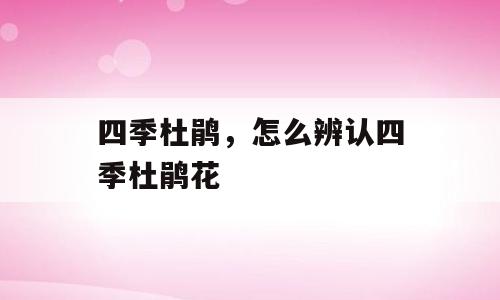 四季杜鹃，怎么辨认四季杜鹃花