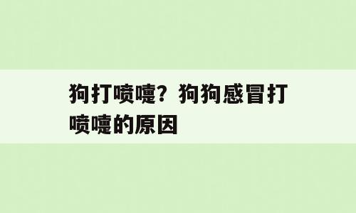 狗打喷嚏？狗狗感冒打喷嚏的原因