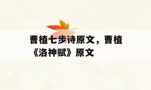 曹植七步诗原文，曹植《洛神赋》原文