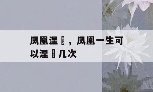 凤凰涅槃，凤凰一生可以涅槃几次