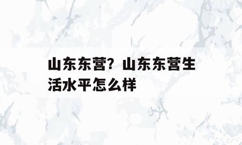 山东东营？山东东营生活水平怎么样