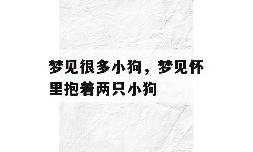 梦见很多小狗，梦见怀里抱着两只小狗