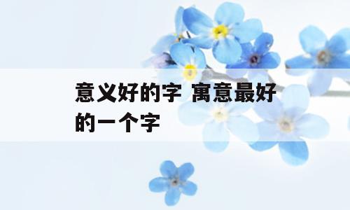 意义好的字 寓意最好的一个字