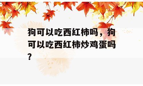 狗可以吃西红柿吗，狗可以吃西红柿炒鸡蛋吗？