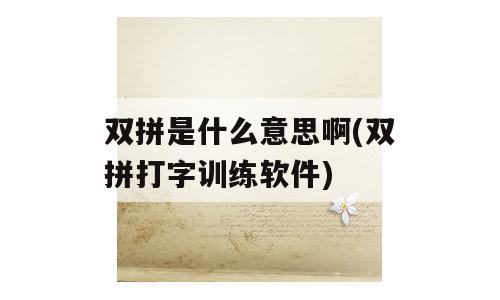 双拼是什么意思啊(双拼打字训练软件)