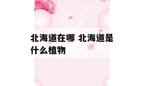北海道在哪 北海道是什么植物