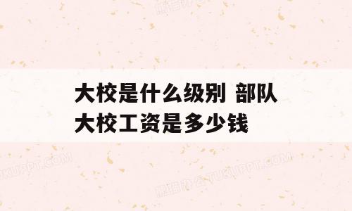 大校是什么级别 部队大校工资是多少钱