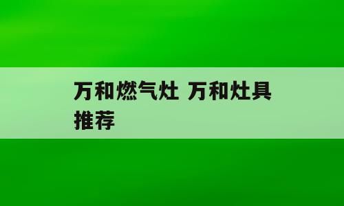 万和燃气灶 万和灶具推荐