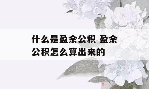 什么是盈余公积 盈余公积怎么算出来的