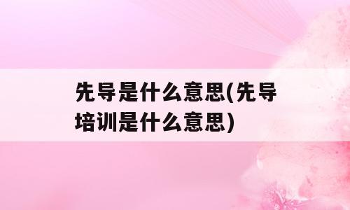 先导是什么意思(先导培训是什么意思)