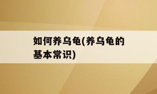 如何养乌龟(养乌龟的基本常识)