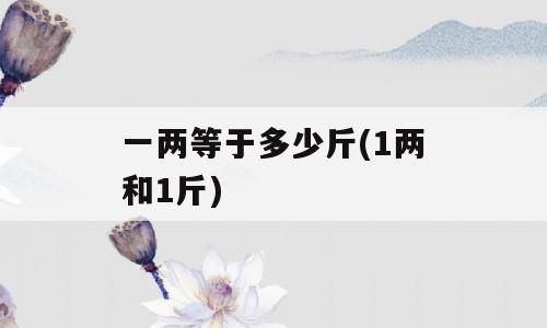 一两等于多少斤(1两和1斤)