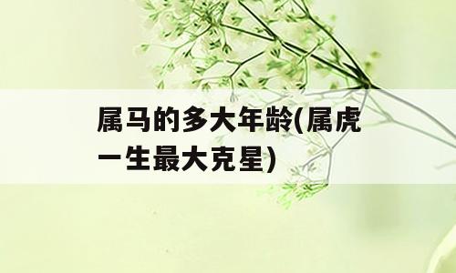 属马的多大年龄(属虎一生最大克星)
