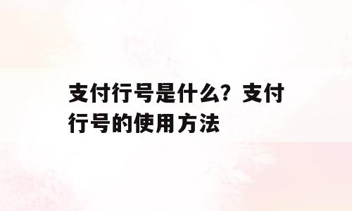 支付行号是什么？支付行号的使用方法