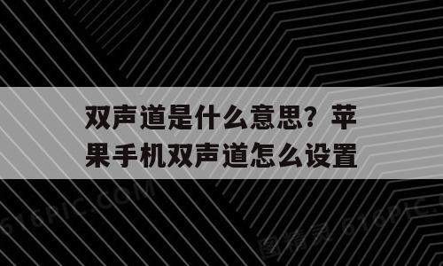 双声道是什么意思？苹果手机双声道怎么设置