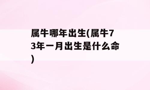 属牛哪年出生(属牛73年一月出生是什么命)