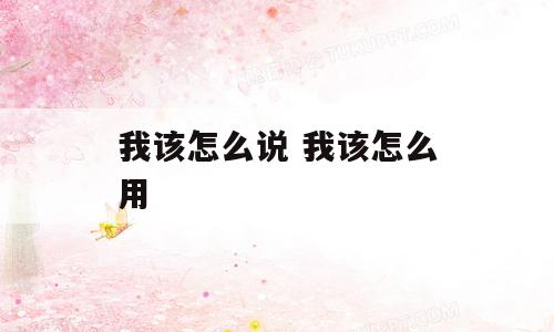 我该怎么说 我该怎么用