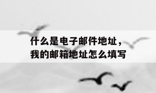 什么是电子邮件地址，我的邮箱地址怎么填写
