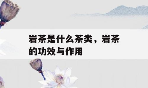 岩茶是什么茶类，岩茶的功效与作用