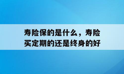 寿险保的是什么，寿险买定期的还是终身的好