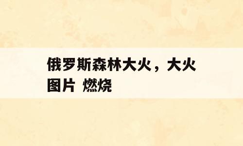 俄罗斯森林大火，大火图片 燃烧