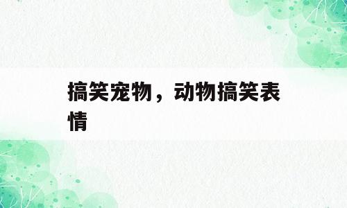 搞笑宠物，动物搞笑表情