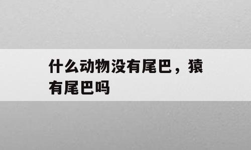什么动物没有尾巴，猿有尾巴吗