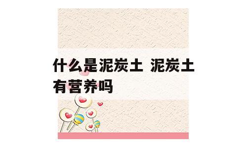 什么是泥炭土 泥炭土有营养吗